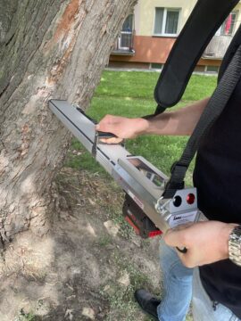 Badanie rezystografem – precyzyjna diagnoza stanu drewna!