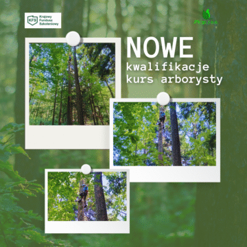 Nowe kwalifikacje – kurs arborysty