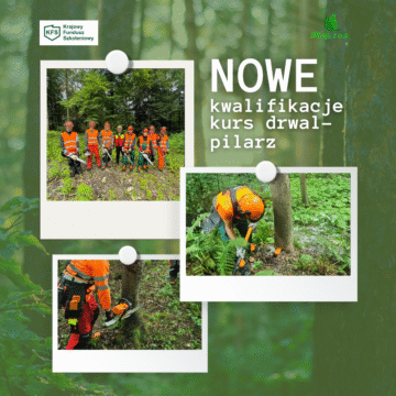 Nowe kwalifikacje – kurs drwal-pilarz