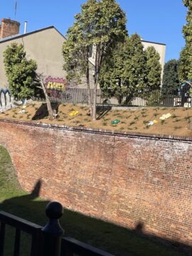 Prace pielęgnacyjne na skarpie przy ul. Grodzkiej