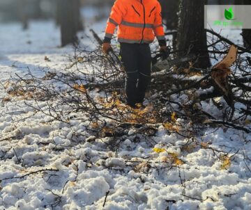 Usuwanie skutków po intensywnych opadach śniegu