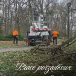 Prace porządkowe w Parku Miejskim im. Bohaterów Monte Cassino